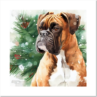 Snowy Boxer Dog Posters and Art